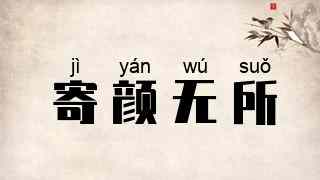 寄颜无所