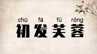 初发芙蓉