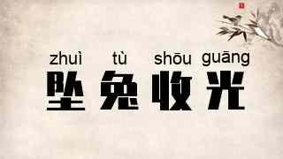 坠兔收光