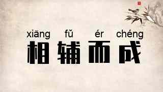 相辅而成