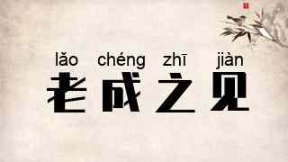 老成之见