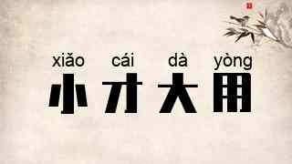 小才大用