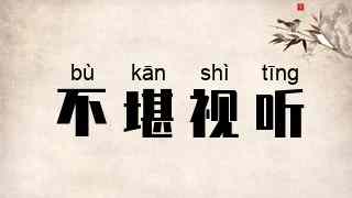 不堪视听
