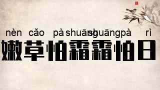 嫩草怕霜霜怕日