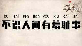不识人间有羞耻事
