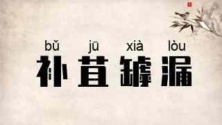 补苴罅漏