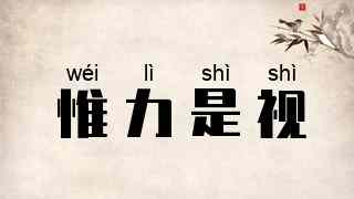 惟力是视
