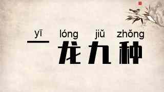 一龙九种