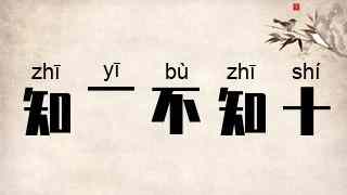 知一不知十