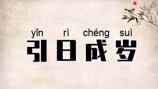 引日成岁