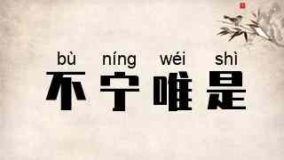 不宁唯是