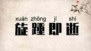 旋踵即逝