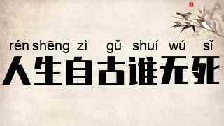 人生自古谁无死