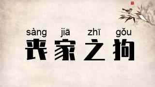 丧家之狗