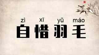 自惜羽毛