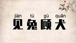 见兔顾犬
