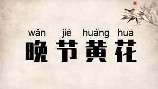 晚节黄花