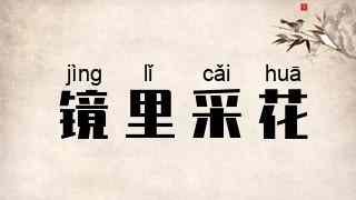 镜里采花