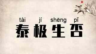 泰极生否