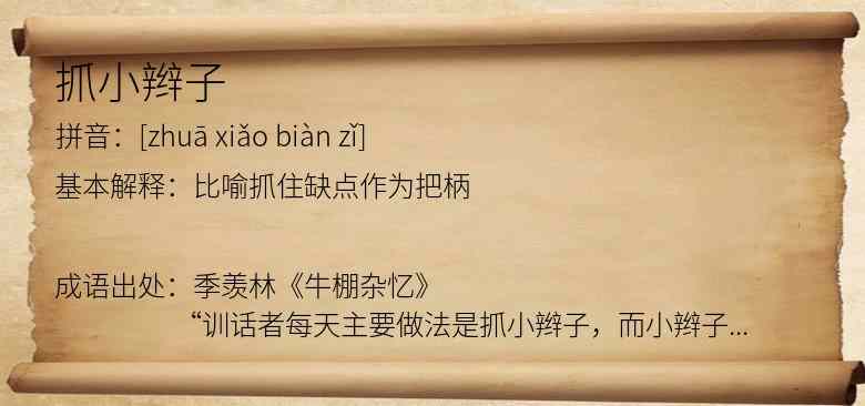 抓小辫子