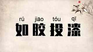 如胶投漆