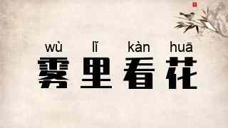 雾里看花