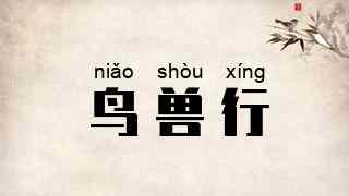 鸟兽行