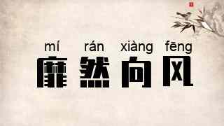 靡然向风