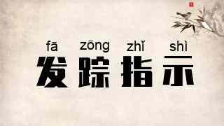 发踪指示