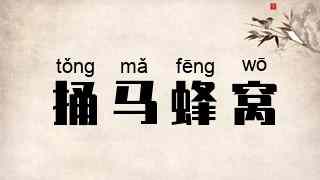 捅马蜂窝