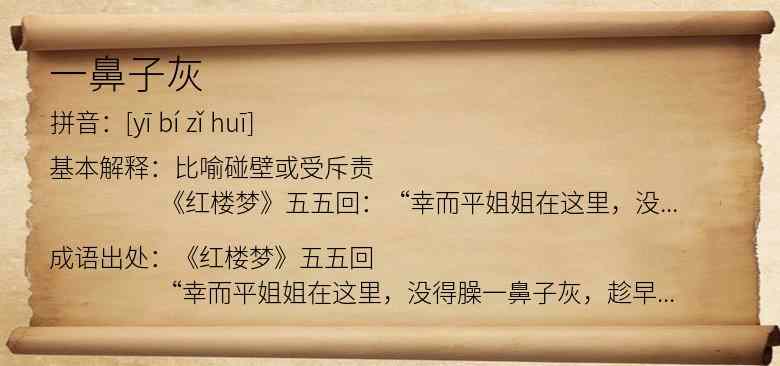 一鼻子灰