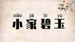 小家碧玉