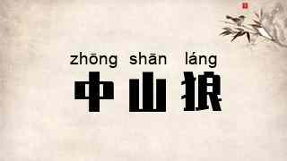 中山狼