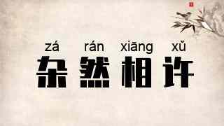 杂然相许