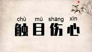 触目伤心