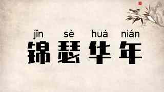 锦瑟华年