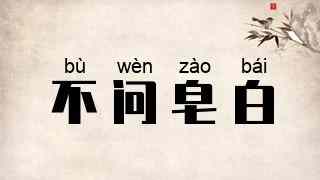 不问皂白