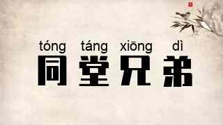同堂兄弟