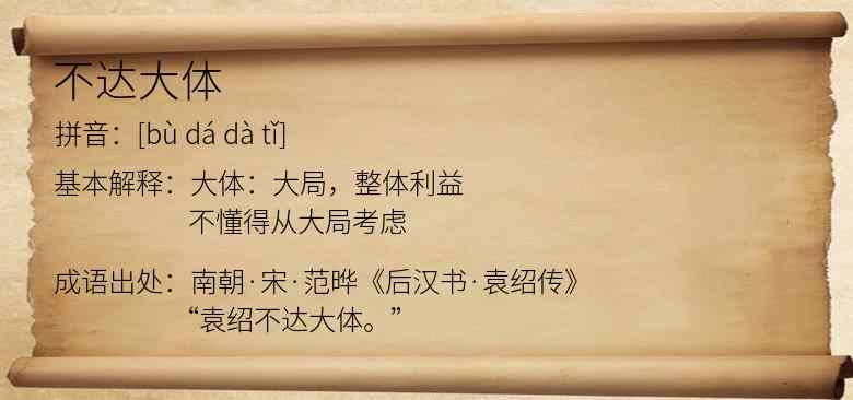 不达大体