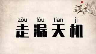 走漏天机