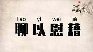 聊以慰藉