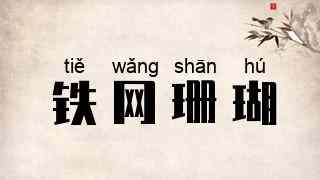 铁网珊瑚