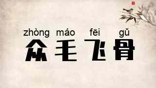 众毛飞骨