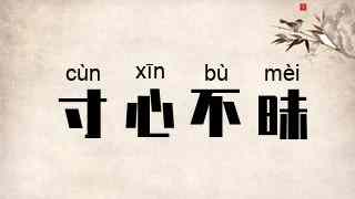 寸心不昧