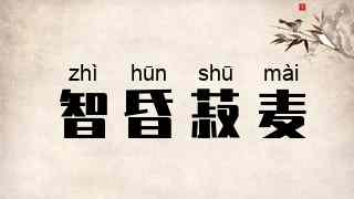 智昏菽麦
