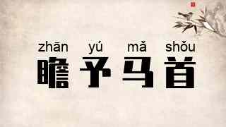 瞻予马首