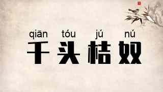 千头桔奴