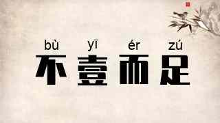 不壹而足