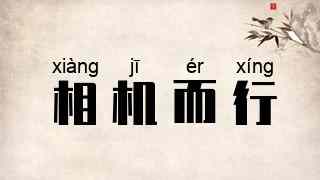 相机而行