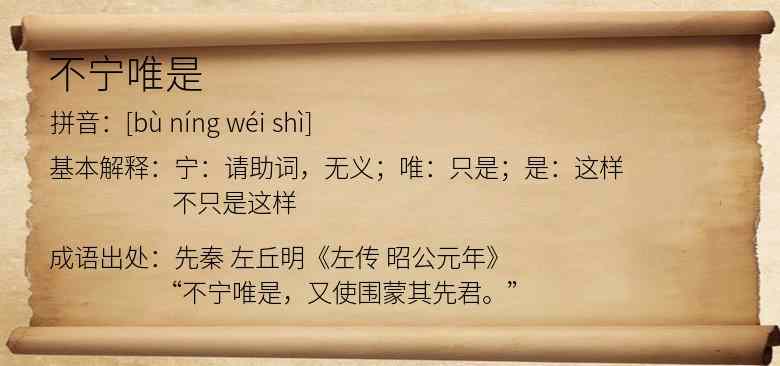 不宁唯是